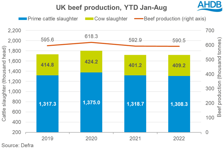 Graph showing year-to-date Jan-Aug 2022 UK beef production